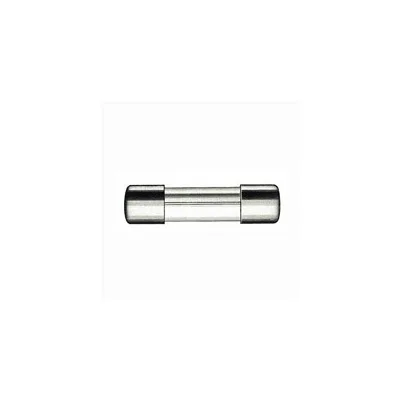Fusivel Rapido 5x20mm 12a