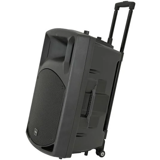 Coluna Pa Portatil com Leitor Sd/Mp3 e Bluetooth