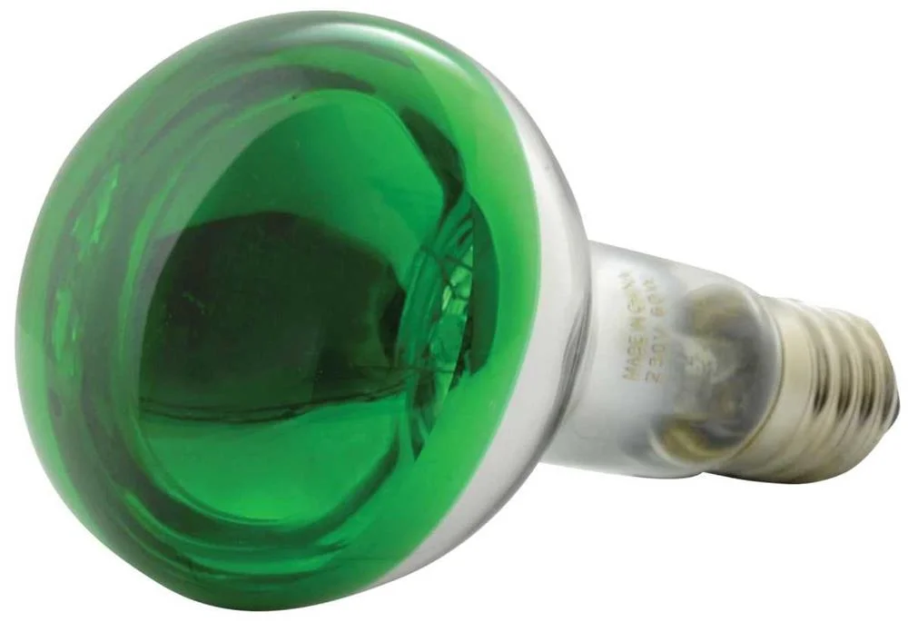 Lampada E27 60w 230vac R80 Verde
