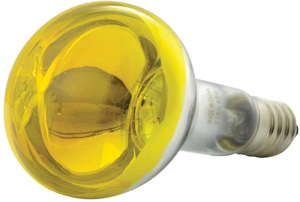 Lampada E27 60w 230vac R80 Amarelo