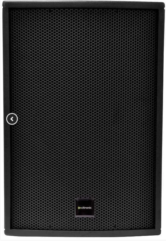 Coluna Passiva 10" 25cm 350w Preto