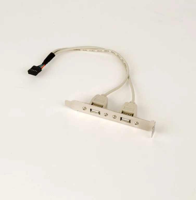 Slot Bracket Gembird Usb X2
