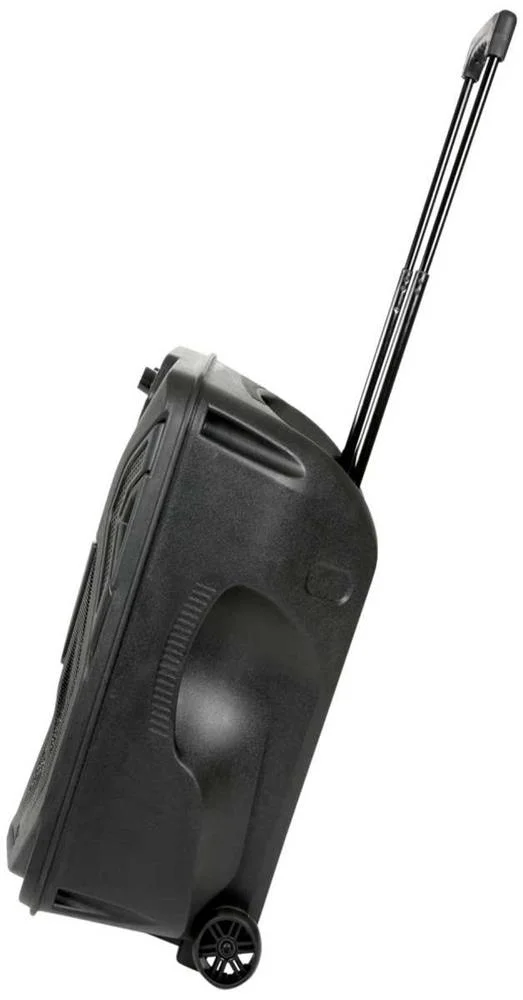 Busker Pa 12' Altavoz Con Micros Hf Mp Blueto.