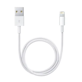 Cable Lightning To Usb 0.5m/Me291zm/A Apple