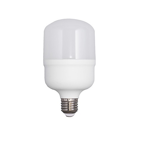 L&acirc;mpada LED E27 T100 30w 6500k