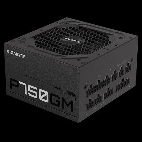 Gigabyte P750gm Power Supply Unit 750 W 20+4 Pin .