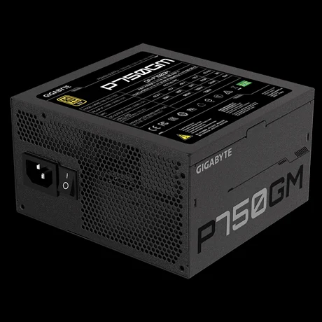 Gigabyte P750gm Power Supply Unit 750 W 20+4 Pin .