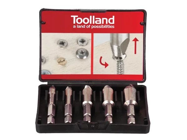 Juego de Puntas para Extractor de Tornillos Danif.