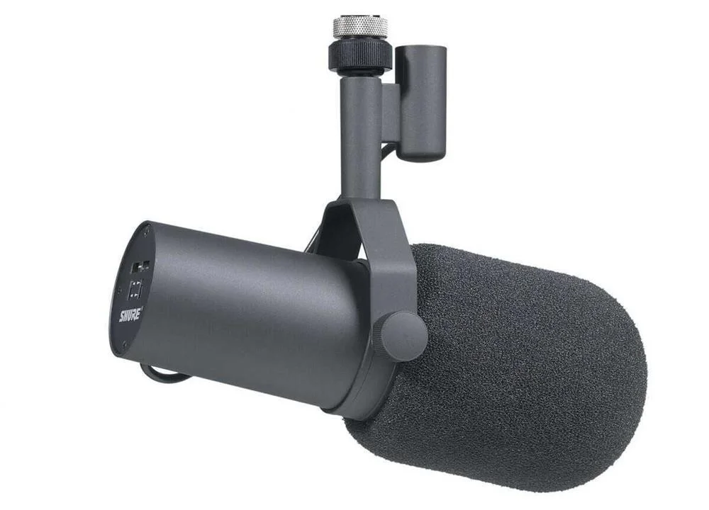Micr&oacute;fono Vocal Din&aacute;mico de Estudio