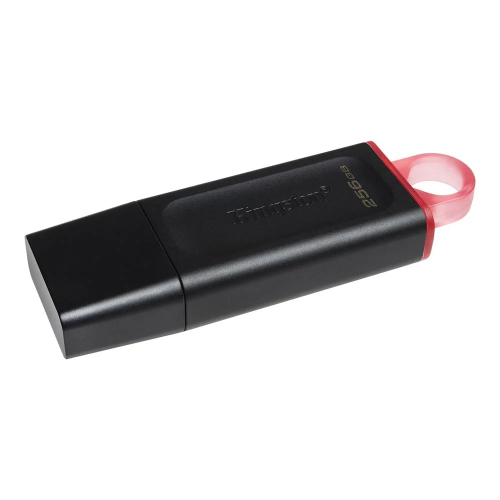 Kingston Datatraveler Exodia 256gb Usb 3.2