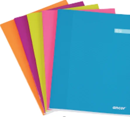 Caderno A5 48 Folhas Ancor