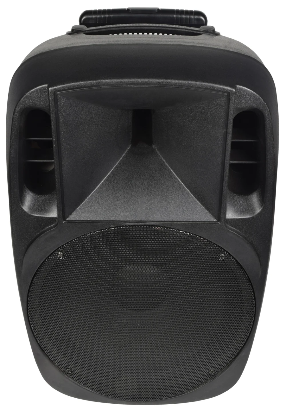 Altavoz Amplificado Port&aacute;til de 15'