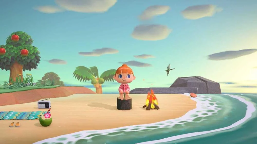 Videogame Switch Animal Crossindvd