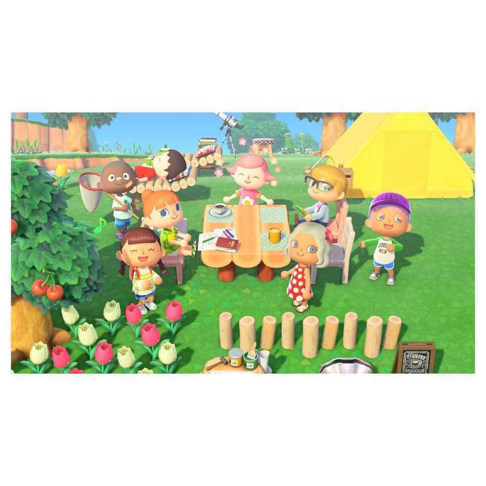 Videogame Switch Animal Crossindvd