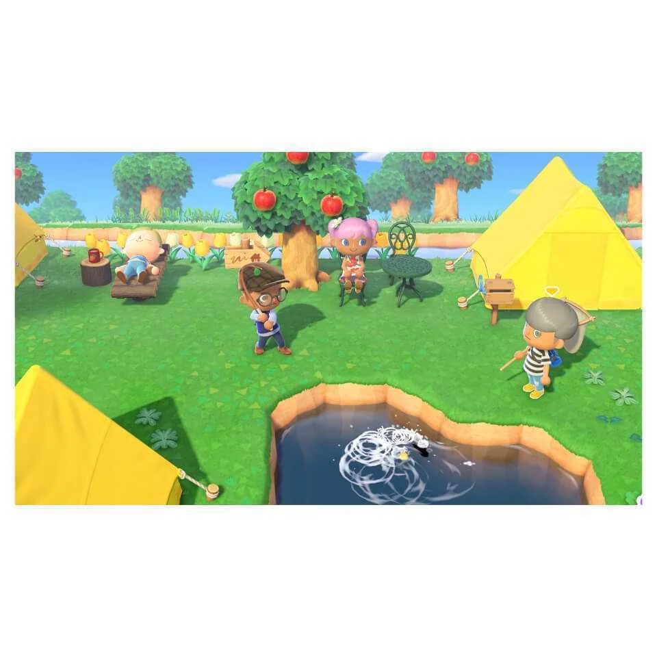 Videogame Switch Animal Crossindvd