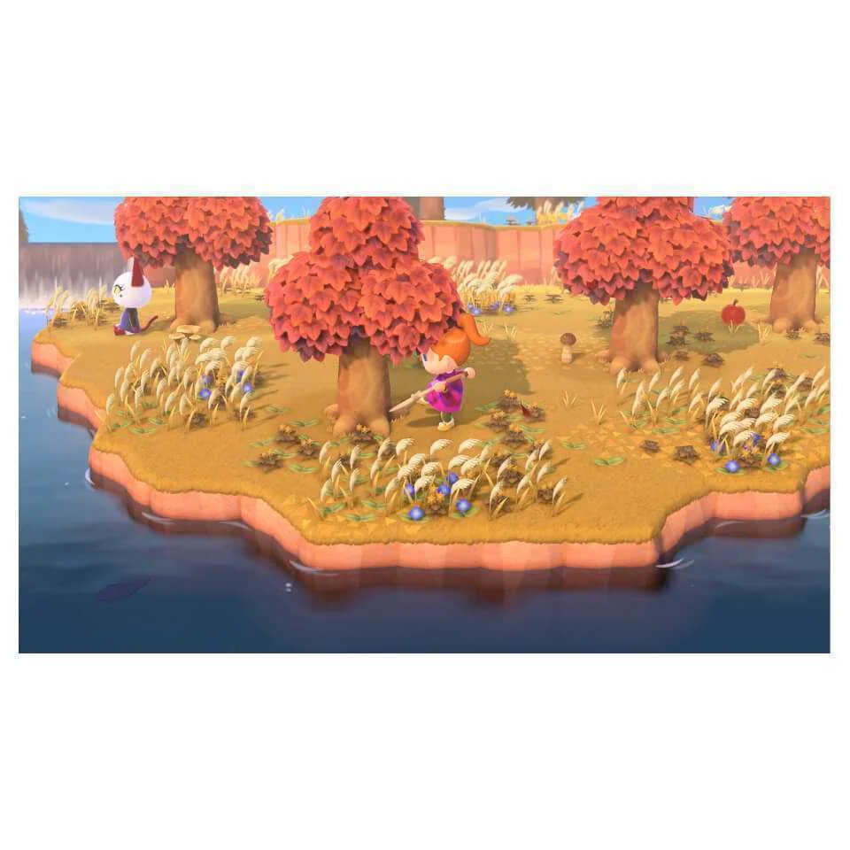 Videogame Switch Animal Crossindvd