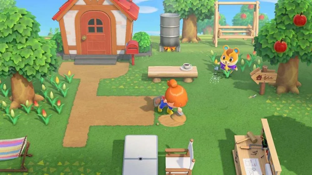 Videogame Switch Animal Crossindvd