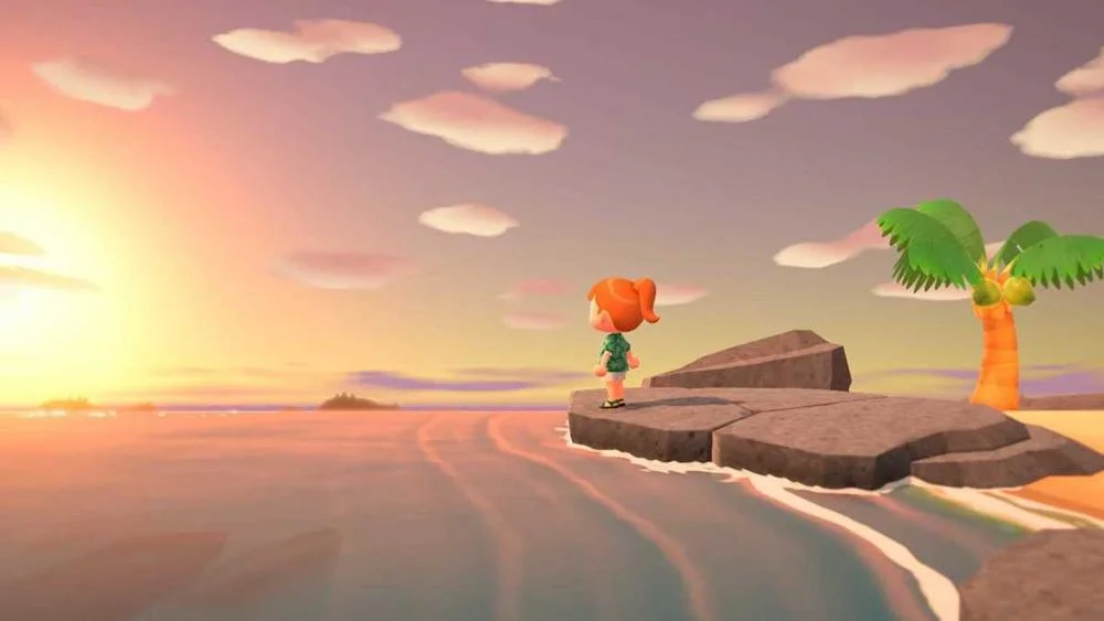 Videogame Switch Animal Crossindvd