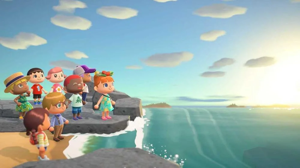Videogame Switch Animal Crossindvd