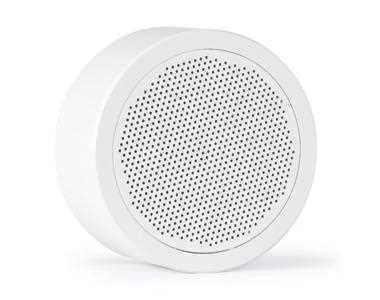 Altavoz de Techo de Superficie