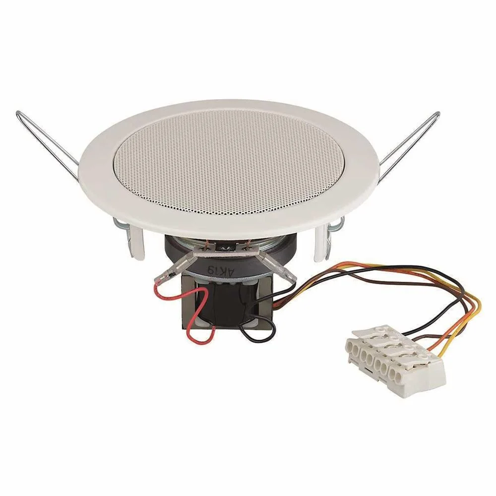 Coluna de teto 8 Ohm 30 W