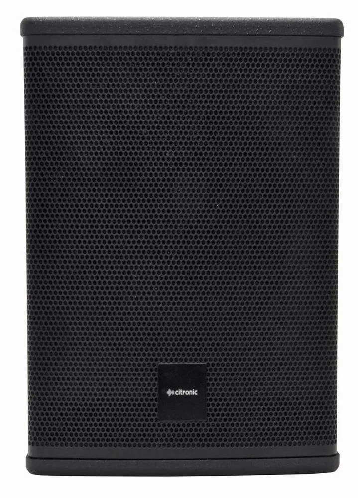 Subwoofer Ativo 10" 300w S&eacute;rie Casa