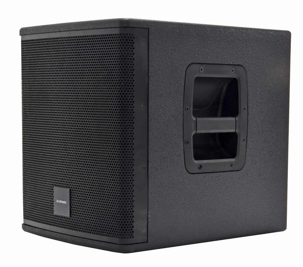 Subwoofer Ativo 10" 300w S&eacute;rie Casa