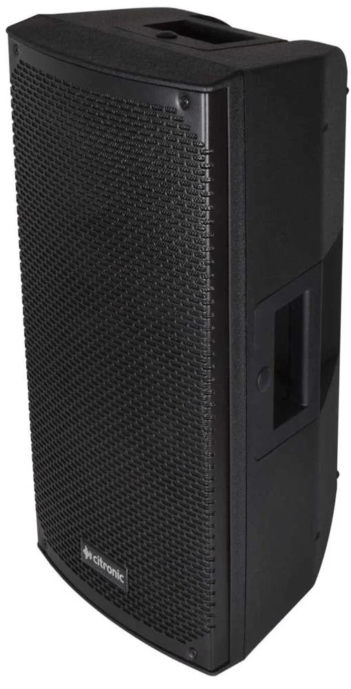 Cab-10 Passive Speakr Cab 220wrms