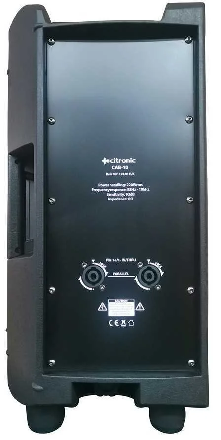 Cab-10 Passive Speakr Cab 220wrms