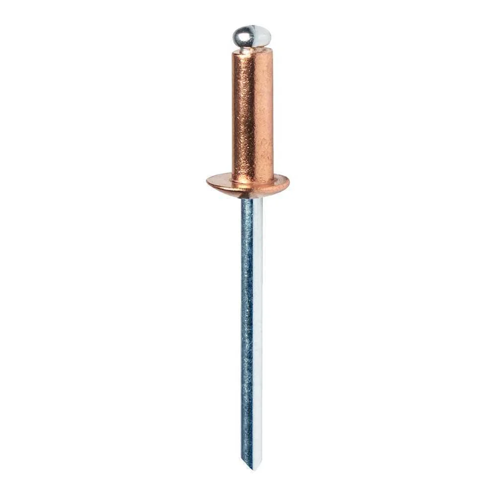 Bl&iacute;ster de 50 Rebites 4x10mm  Alu + Broca Cobrea.