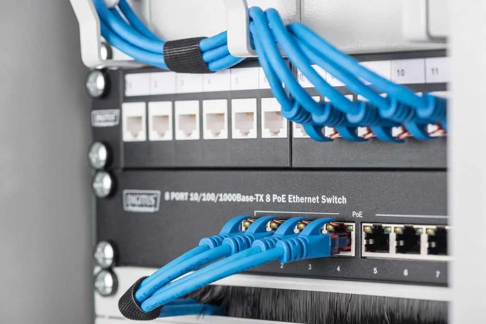 Patchpanel Digitus 1u 10" 12 Puertos Color Negro