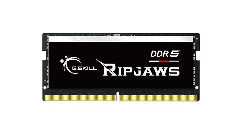 G.Skill Ripjaws F5-4800s3434a16gx1-Rs M&oacute;dulo de M.