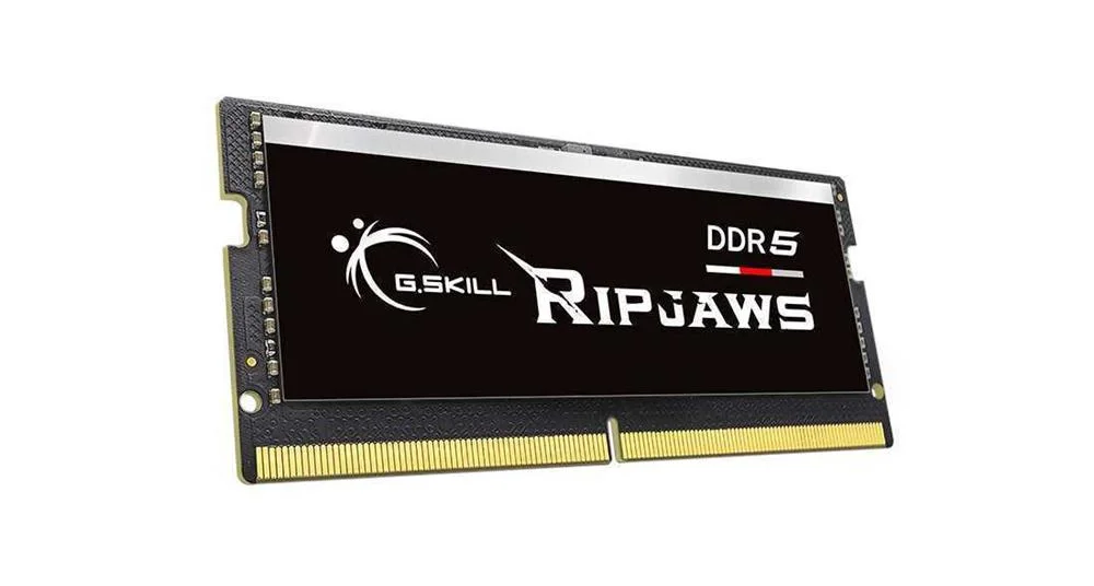 G.Skill Ripjaws F5-4800s3434a16gx1-Rs M&oacute;dulo de M.
