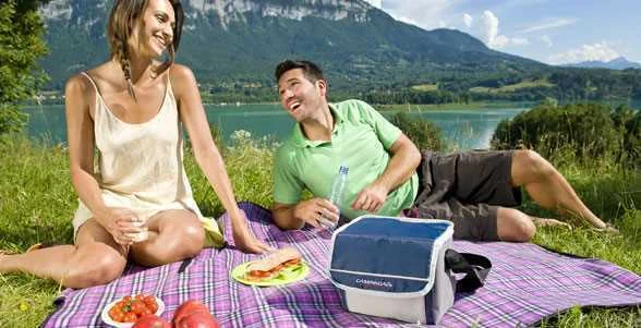 CAMPINGAZ FOLD`N COOL GELEIRA 5 L AZUL, CINZENTO