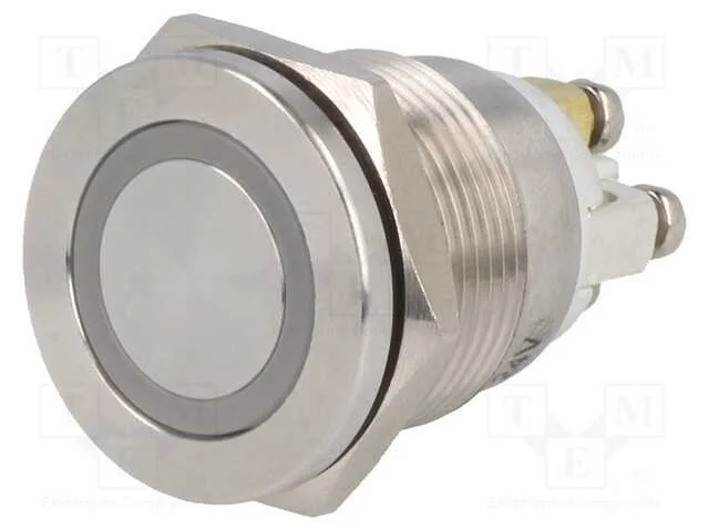 Interruptor: Antivandalismo, Pos: 2, Spst-No, 0,5a/220vac, Ip65