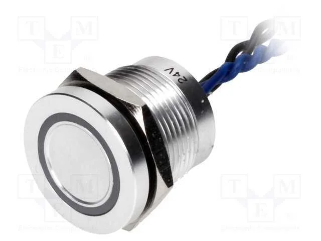 Interruptor: Piezoel&eacute;ctrico, Pos: 2, Spst-No, 0,2a/24vac, Ip68