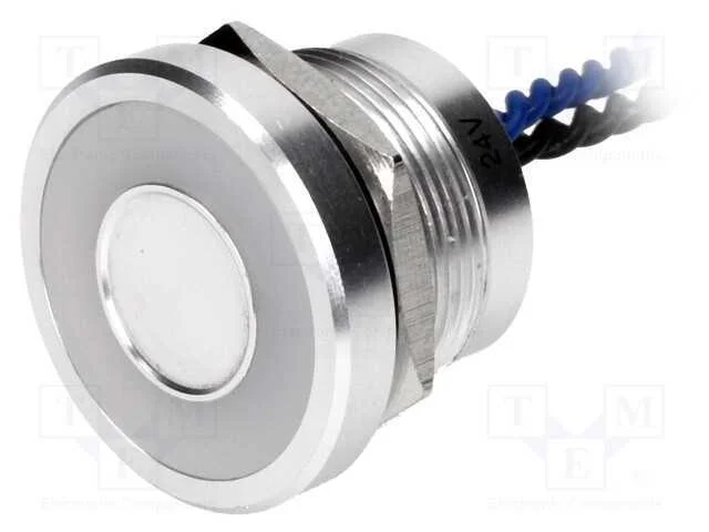 Interruptor: Piezoel&eacute;ctrico, Pos: 2, Spst-No, 0,2a/24vac, Ip68