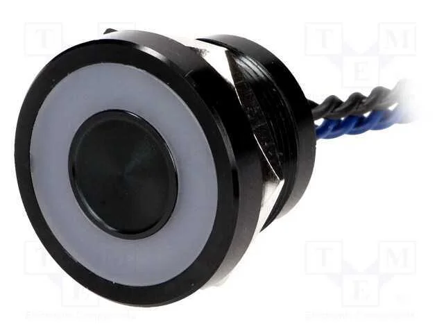 Interruptor: Piezoel&eacute;ctrico, Pos: 2, Spst-No, 0,2a/24vac, Ip68