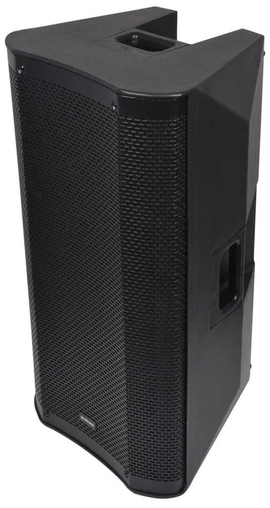CASA-12 Passive 12" Full Range PA Cabinet 300Wrms
