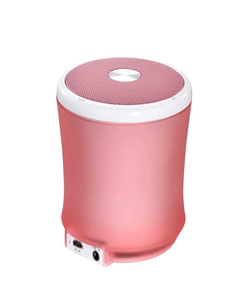 TERRATEC 145356 COLUNA PORT&Aacute;TIL ROSA 2,2 W