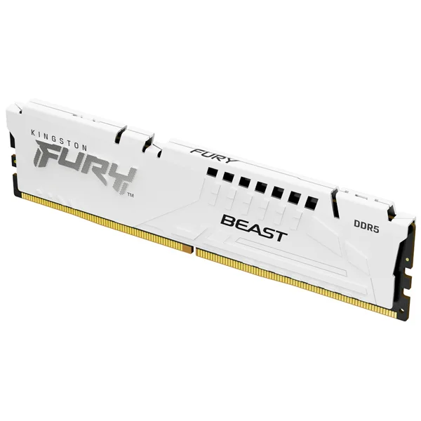 KINGSTON TECHNOLOGY FURY BEAST M&Oacute;DULO DE MEM&Oacute;RIA .