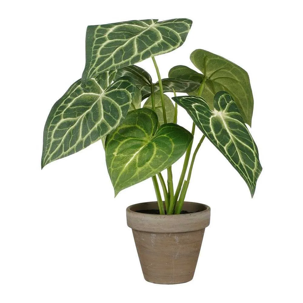 Planta Artificial Caladium "Orelha de Elefante"