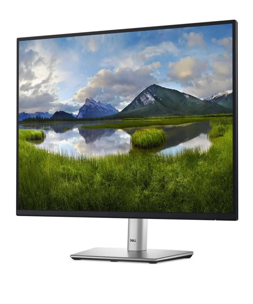 Monitor IPS LED 24.1" P Series P2425 WUXGA LCD Pr.
