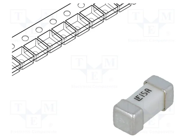 Fus&iacute;vel: baixa tens&atilde;o, super-imediato, 15A, 125VA.