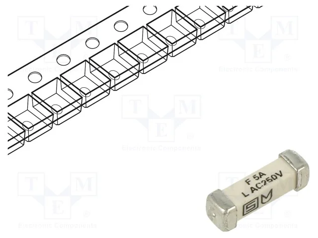 Fus&iacute;vel: baixa tens&atilde;o, r&aacute;pido, 5A, 250VAC, 125VDC.
