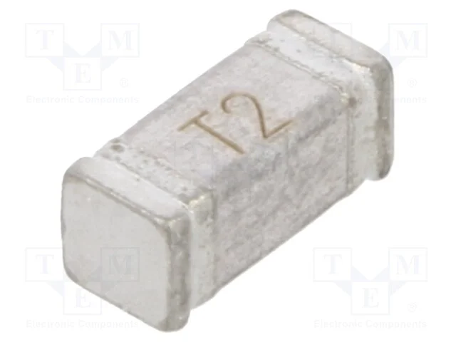 Fus&iacute;vel: baixa tens&atilde;o, retardado, 2A, 250VAC, 60V.