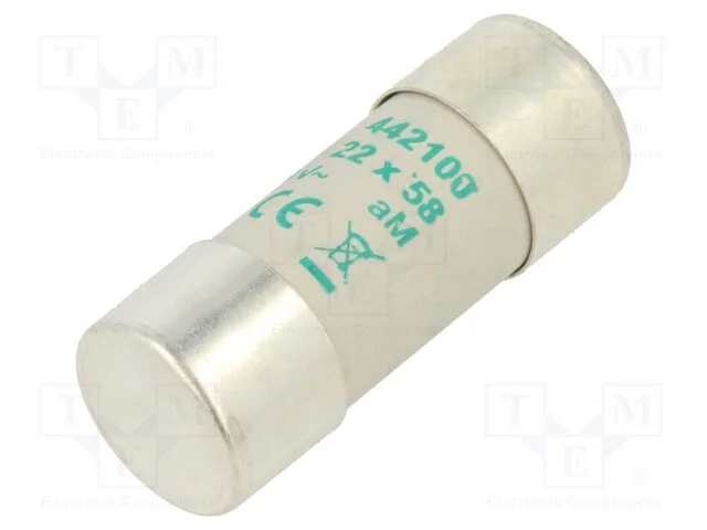 Fus&iacute;vel: baixa tens&atilde;o, aM, 100A, 500VAC, 22x58mm