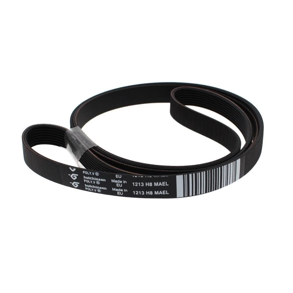 Correia El&aacute;stico Pvel 1213h8 tl Ph2001