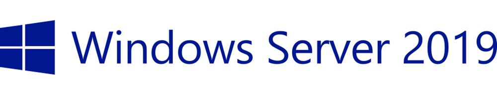 Microsoft Windows Server 2019 Microsoft P11077-A21