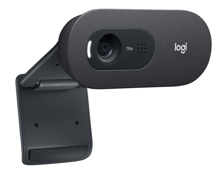 Webcam Logitech C505e Hd 720p Preto